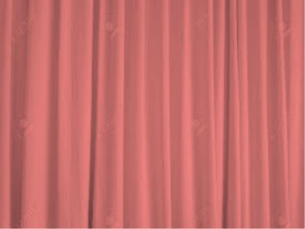 Bài giảng Ngữ văn Lớp 8 Sách Chân trời sáng tạo - Thực hành Tiếng Việt. Biệt ngữ xã hội