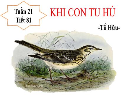 Bài giảng Ngữ văn Lớp 8 - Tuần 21. Tiết 81: Khi con tu hú