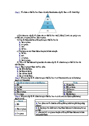 Câu hỏi ôn tập Khoa học tự nhiên 6 Sách Chân trời sáng tạo - Bài 20: Các cấp độ tổ chức trong cơ thể đa bào