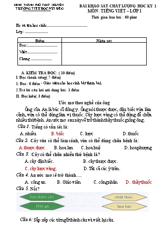 Đề khảo sát chất lượng học kỳ I môn Tiếng Việt Lớp 1 - Năm học 2024-2025 - Trường Tiểu học Núi Đèo (Có đáp án + Ma trận)