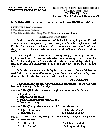 Đề kiểm tra định kì cuối học kỳ I môn Tiếng Việt Lớp 5 - Năm học 2024-2025 - Trường TH&THCS Lê Khắc Cẩn (Có đáp án)