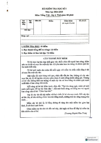 Đề kiểm tra học kỳ I môn Tiếng Việt 4 - Năm học 2024-2025 - Trường Tiểu học Nguyễn Tri Phương