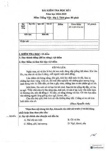 Đề kiểm tra học kỳ I môn Tiếng Việt Lớp 2 - Năm học 2024-2025 - Trường Tiểu học Nguyễn Trãi