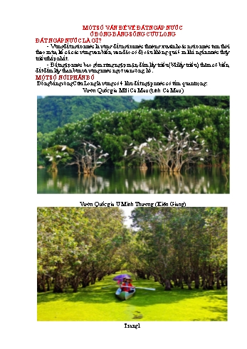 Đề tài Một số vấn đề về đất ngập nước ở Đồng bằng sông Cửu Long