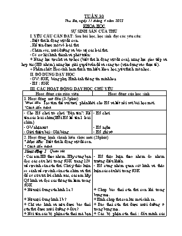 Kế hoạch bài dạy Khoa học & Kĩ thuật Lớp 5 - Tuần 30 - Năm học 2022-2023 - Phạm Thị Bích Liễu