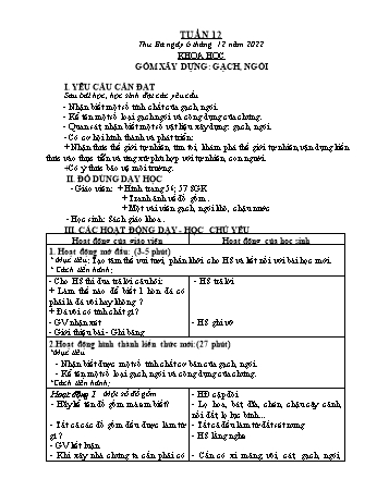 Kế hoạch bài dạy Khoa học Lớp 5 - Tuần 12 - Năm học 2022-2023 - Phạm Thị Bích Liễu